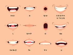 the different types of teeth and mouth shapes