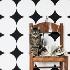 a cat sitting on top of a wooden chair next to a wall with black and white circles