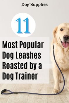 a dog is leashed up with the words 11 most popular dog leashes roasted by a dog trainer