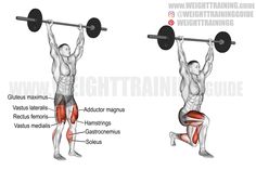 Barbell overhead lunge Lower Body Exercises Weights, Face Pull Exercise, Quadriceps Exercises, Vastus Medialis, Rectus Femoris, Best Back Exercises, Barbell Exercises, Barbell Shoulder Press, Lower Body Exercises