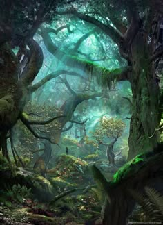 an artist's rendering of a forest with mossy trees