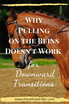 a horse with the words why pulling on the reins doesn't work for downward transitions