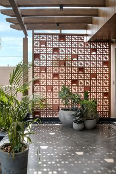 two potted plants sitting on top of a cement floor next to a pergolated wall