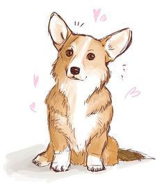 a drawing of a corgi dog sitting on the ground with hearts around it