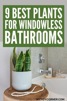 a bathroom with a tub, toilet and plants on the counter in front of it text overlay reads 9 best plants for windowless bathrooms