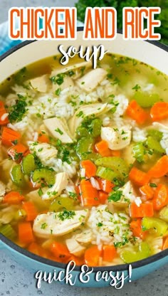 chicken and rice soup in a bowl with carrots, celery and parsley