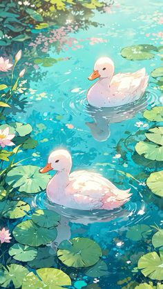 two white ducks floating on top of a lake surrounded by lily pads and water lilies