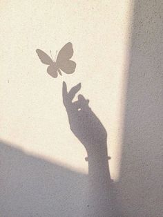 the shadow of a person's hand reaching for a butterfly on a white wall