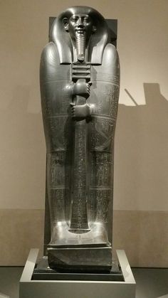 an egyptian statue is on display in a museum