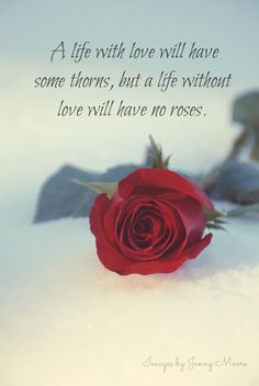 a red rose sitting in the snow with a quote on it that reads, a life with love will have some thorns, but a life without love will have no roses