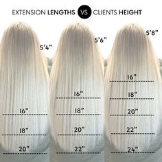 Cost Of Hair Extensions, Different Hair Extensions Types, Hair Extension Length Chart Bellami, Hair Extension Placement Guide, Volume Weft Hair Extensions, Hair Extensions Tape Ins, Hair Extension Model Call, 16” Hair Extensions, Weft Placement