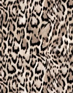 an animal print fabric with black and white spots on the fur, as seen from above