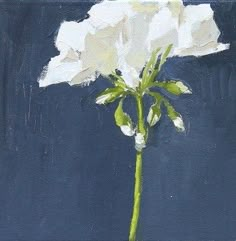 a painting of a white flower on a dark blue background, with the petals still attached