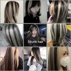 Grey Blonde Highlights On Dark Hair, How To Do Skunk Stripe Hair, Stunk Hair Dye, Hidden Hair Color, Hair Stripes, Black Red Hair, Blonde Highlights On Dark Hair