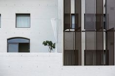 a white building with two windows and a plant in the window sill next to it