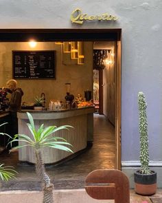 the front entrance to a restaurant with plants in pots