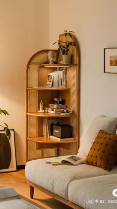 a living room with a couch, bookshelf and potted plant on the wall