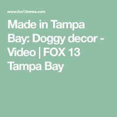 the text made in tampa bay doggy decor video fox 13 tampa bay