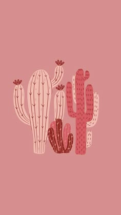 three different types of cactus on a pink background