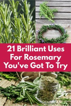 rosemary herbs and herbs with the words 21 brilliant uses for rosemary you've got to try