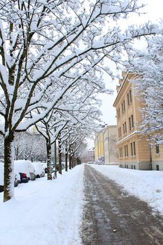 a snowy street lined with parked cars next to tall yellow buildings on either side of the road