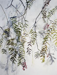 watercolor painting of branches and berries on white paper with blue sky in the background