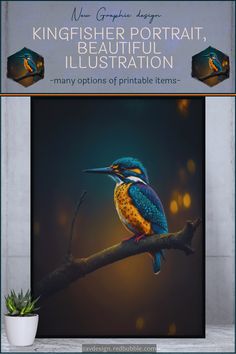 Kingfisher portrait, beautiful illustration. This illustrated portrait is suitable for all lovers of wild nature and its wonders. and will surely please all lovers of gorgeous colorful wild birds. Modern Wall Painting, Illustration Nature, Beautiful Illustration, Quirky Home Decor, Nice Art, Realistic Paintings, Illustration Poster