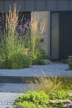 purple flowers and grass in front of a building with an open door on the side