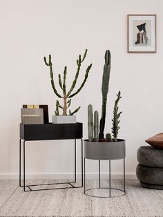 two planters sitting next to each other on top of a rug in front of a white wall