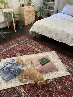 two cats sleeping on top of a rug in a room with a bed and desk