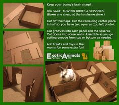 there is an image of a rabbit in a box with instructions on how to make it