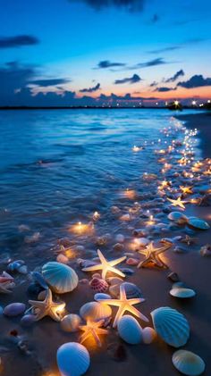 starfish and seashells on the beach at night with lights in the water