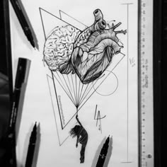 a pencil drawing of a human heart and brain on top of a piece of paper