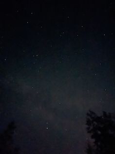 the night sky is filled with stars and trees