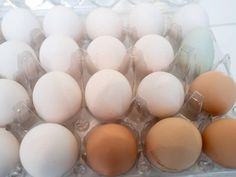 an egg tray filled with brown and white eggs