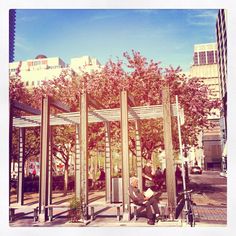 a man sitting on a bench in front of a building with trees and buildings behind him