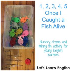 a plastic container filled with lots of different types of fish magnets on top of a wooden floor