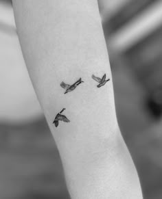 three birds flying in the air on a person's arm