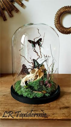 a glass clochet filled with lots of different types of animals and plants on top of a wooden table