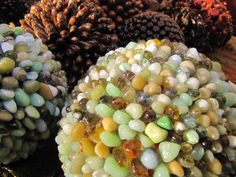 several different types of pine cones on display