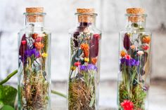 three glass bottles filled with different types of flowers