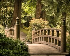 a wooden bridge in the middle of a lush green park with trees and bushes around it