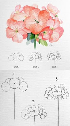 Beginner Art Drawing Step By Step, Pencil Art Flower Drawings, How To Draw A Cute Flower, Flower Drawings Color, How Draw Flowers, Easy Color Pencil Drawings For Beginners, Flower Pencil Color, How To Draw Hydrangeas, Color Pencil Art Flowers