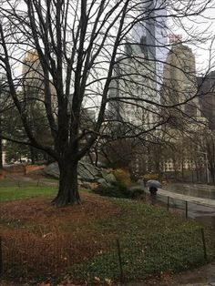 two people with umbrellas are walking through the park in front of tall buildings on a rainy day