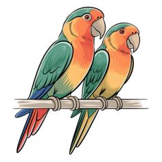 two colorful parrots sitting on top of a tree branch