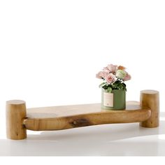 a wooden bench with a potted plant on it