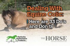 a horse laying down in the sand with text stating, dealing with equine colic here are 3 do's and don'ts