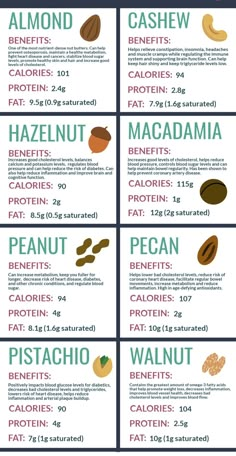 Hazelnut Benefits, Nut Benefits, Cashews Benefits, Peanut Butter Alternatives, Food Health Benefits, Food Infographic, Healthy Metabolism, Healing Food