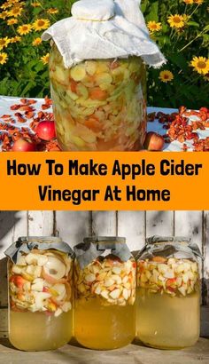 how to make apple cider vinegar at home with pictures and text overlays