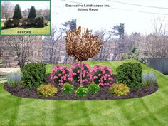 an image of landscaping in the front yard